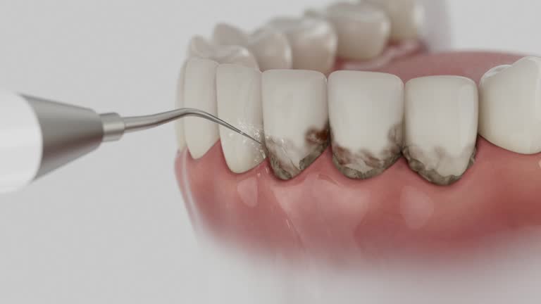 Reliable Dental contractor in Woodhaven, MI by Dentist Open Now